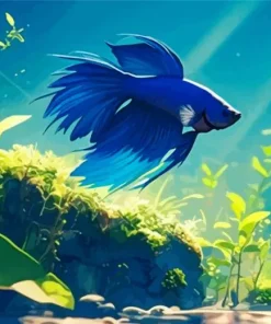Blue Betta Fish Underwater Diamond Painting