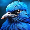 Blue Bird Face Diamond Painting