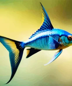 Blue Black And Yellow Fish Diamond Painting