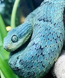 Blue Bush Snake Diamond Painting