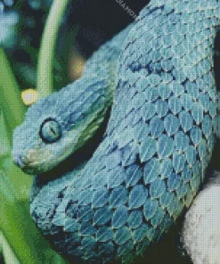 Blue Bush Snake Diamond Painting