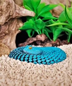 Blue Bush Viper Diamond Painting