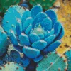 Blue Cactus Diamond Painting