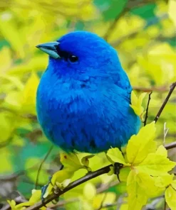 Blue Canary Bird Diamond Painting