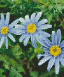 Blue Chamomile Flowers Diamond Painting