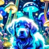 Blue Dog Animal Diamond Painting