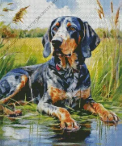 Blue English Coonhound Diamond Painting