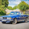 Blue Triumph Stag Diamond Painting