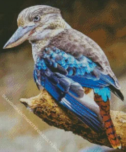 Blue Winged Kookaburra Diamond Painting