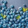 Blueberries Fruit Diamond Paintingv