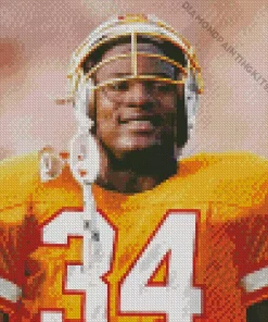 Bo Jackson Diamond Painting