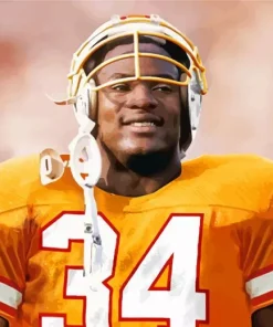 Bo Jackson Diamond Painting