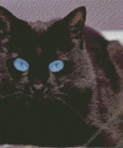Bombay Cat With Blue Eyes Diamond Painting