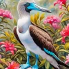 Booby Bird Diamond Painting