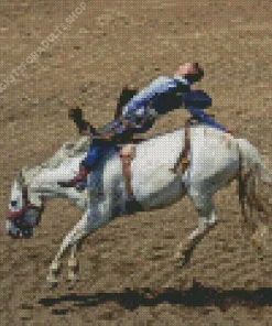 Bucking Horse Diamond Painting