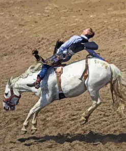 Bucking Horse Diamond Painting