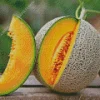 Cantaloupe Melon Diamond Painting