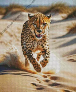Cheetah Running Diamond Painting