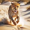 Cheetah Running Diamond Painting