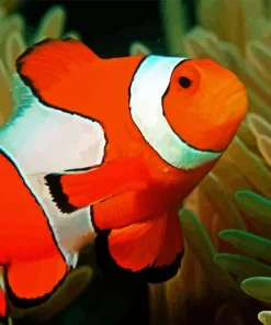 Clownfish Underwater Diamond Painting