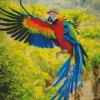 Colorful Bird Flying Diamond Painting