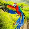 Colorful Bird Flying Diamond Painting