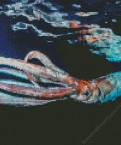 Colossal Squid Diamond Painting