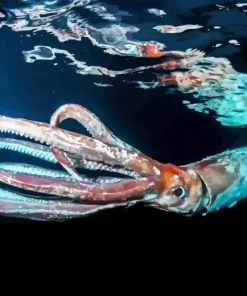 Colossal Squid Diamond Painting