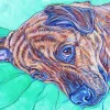 Cool Brindle Art Diamond Painting