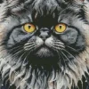 Cooll Fat Long Haired Cat Diamond Painting
