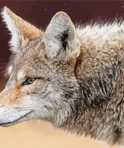 Coyote Face Diamond Painting