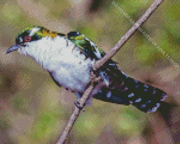 diederik cuckoo art Diamond Paints Diederik Cuckoo Art Diamond Painting