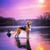 Dog At Sunset Diamond Painting