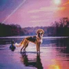 Dog At Sunset Diamond Painting