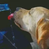Dog Drinking Water Diamond Painting