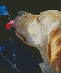 Dog Drinking Water Diamond Painting