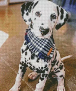 Dog Heart Nose Diamond Painting