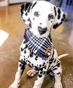 Dog Heart Nose Diamond Painting