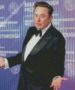 Elon Musk Diamond Painting