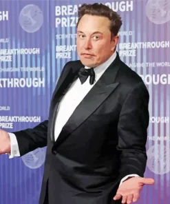 Elon Musk Diamond Painting
