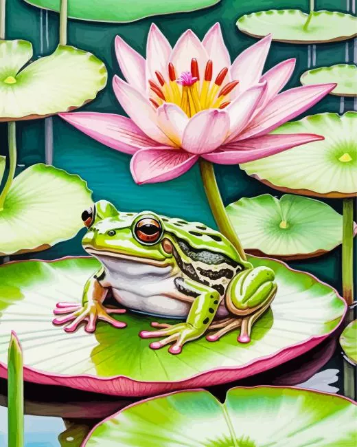 frog and lily pad Diamond Paintings Frog And Lily Pad Diamond Painting