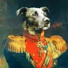 General Dog Art Diamond Painting