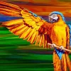 Gold And Yellow Macaw Diamond Painting