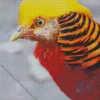 Golden Pheasant Diamond Painting