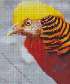Golden Pheasant Diamond Painting