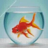 Goldfish In A Bowl Diamond Painting