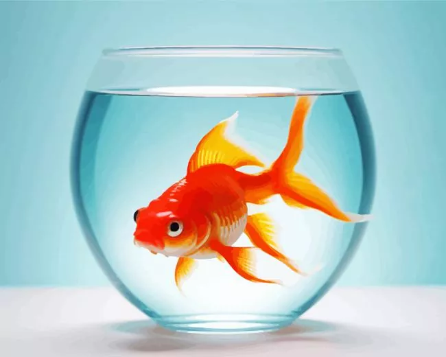 goldfish in a bowl Diamond Paints Goldfish In A Bowl Diamond Painting