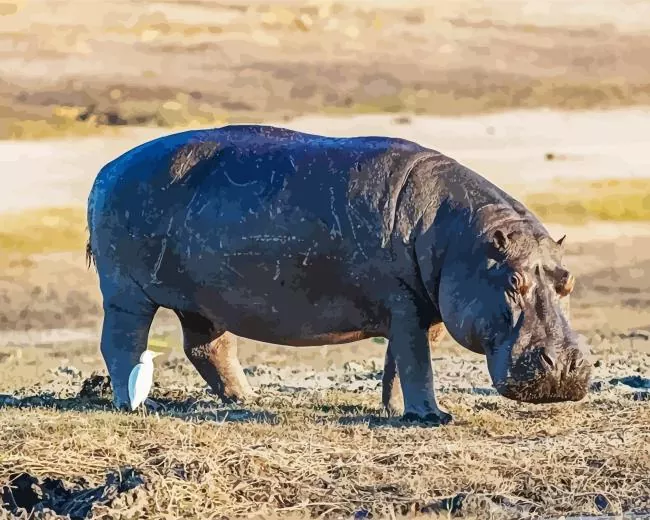 gray hippopotamus Diamond Dotz Gray Hippopotamus Diamond Painting