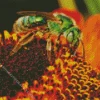 Green Bee Insect Diamond Painting