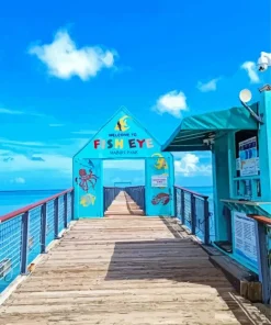 Guam Fish Eye Park Diamond Painting